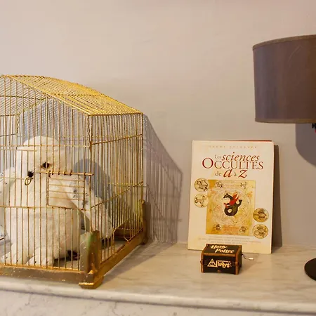 Daire Harry Potter A La *