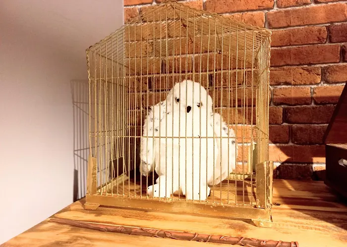 Harry Potter A La Daire